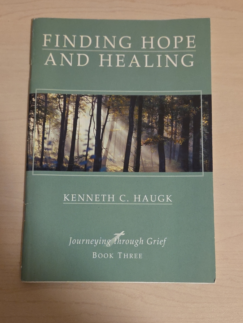 Finding Hope and Healing by Kenneth C. Haugk